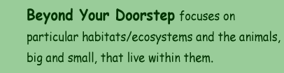 BEYOND YOUR DOORSTEP focuses on particular habitats/ecosystems and the animals, big and small, that live within it.
