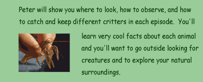 Peter will show you where to look, how to observe, and how to catch and keep different critters in each episode.  You'll learn very cool facts about each animal and you'll want to go outside looking for creatures and to explore your natural surroundings.