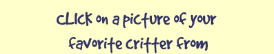Click on a picture of your favorite critter from the first episode of