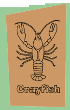 Crayfish
