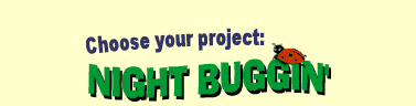 Night Buggin'