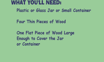WHAT YOU'LL NEED:  Plastic or Glass Jar or Small Container - Four Thin Pieces of Wood - One Flat Piece of Wood Large Enough to Cover the Jar or Container