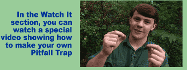 In the Watch It section, you can watch a special video showing how to make your own Pitfall Trap