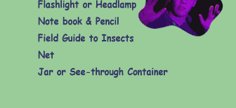 Flashlight or headlamp - notebook and pencil - field guide to insects - net - jar