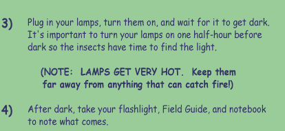 3)  Plug in your lamps, turn them on, and wait for it to get dark.  It's important to turn your lamps on one half-hour before dark so the insects have time to find the light.  (NOTE: LAMPS GET VERY HOT.  KEEP THEM AWAY FROM ANYTHING THAT CAN CATCH FIRE!)  4)  After dark, take your flashlight, Field Guide, and notebook to note what shows up.
