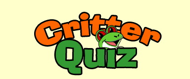 Critter Quiz