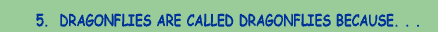 5.  Dragonflies are called dragon flies because: