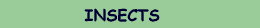 Insects