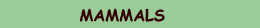 Mammals